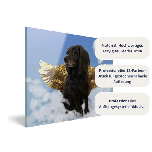 Acrylglas mit Tierportrait im Engel Stil