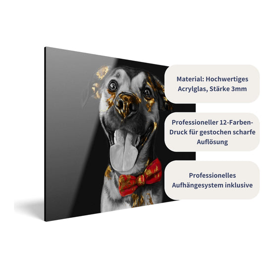 Acrylglas mit Tierportrait im Gold Stil