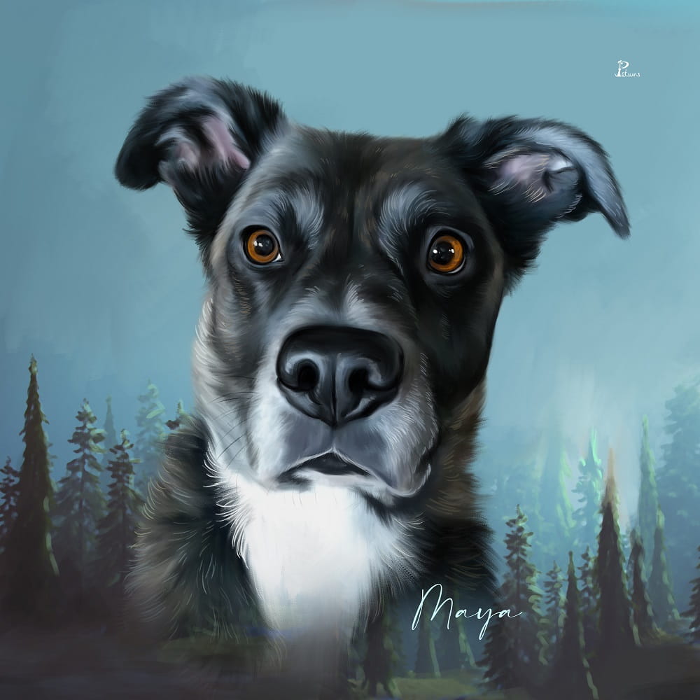 Acrylglas mit Tierportrait im Exposure Stil