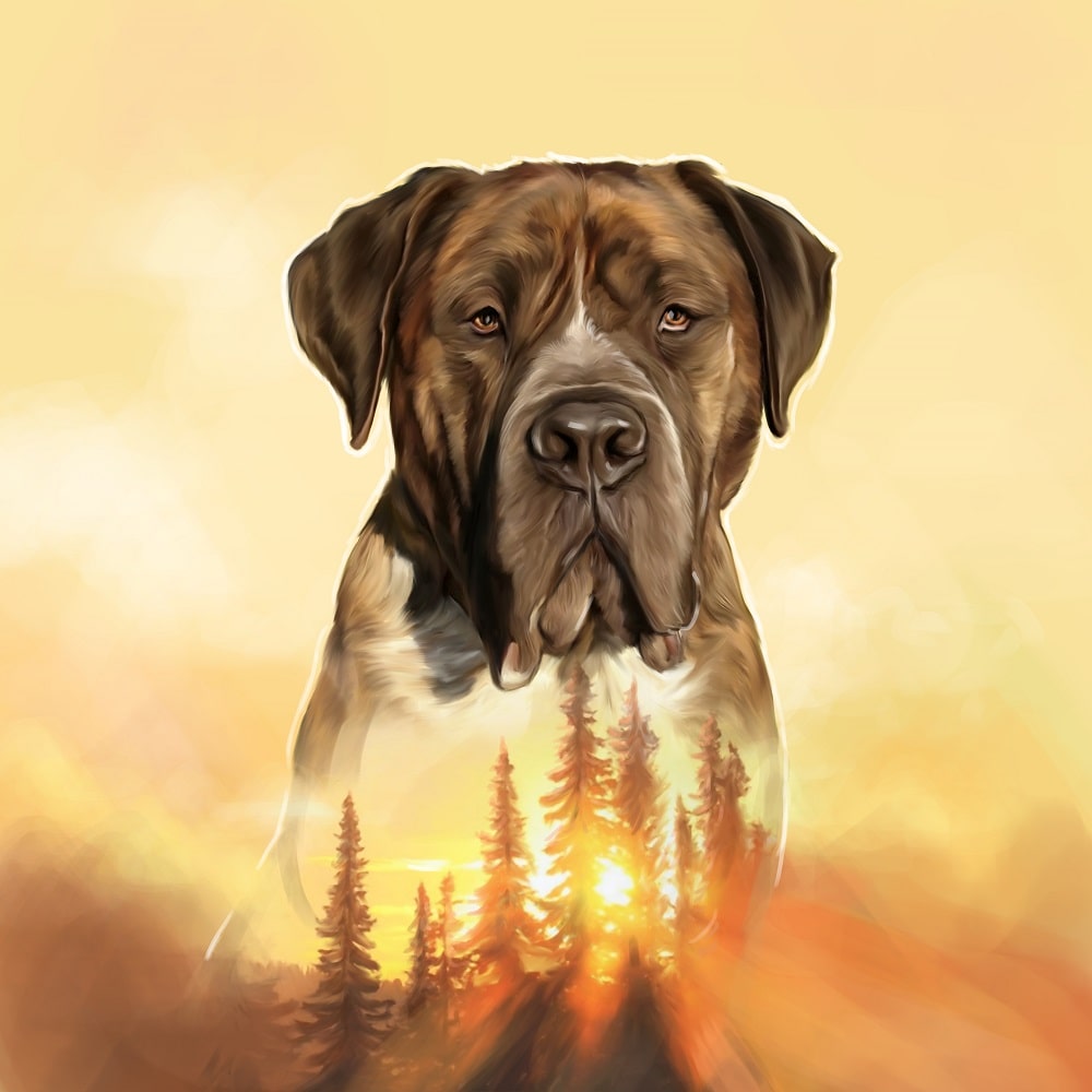 Acrylglas mit Tierportrait im Exposure Stil