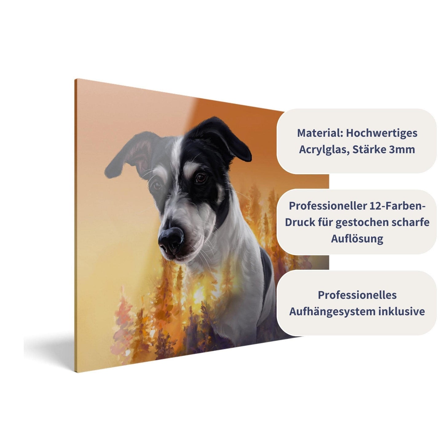 Acrylglas mit Tierportrait im Exposure Stil